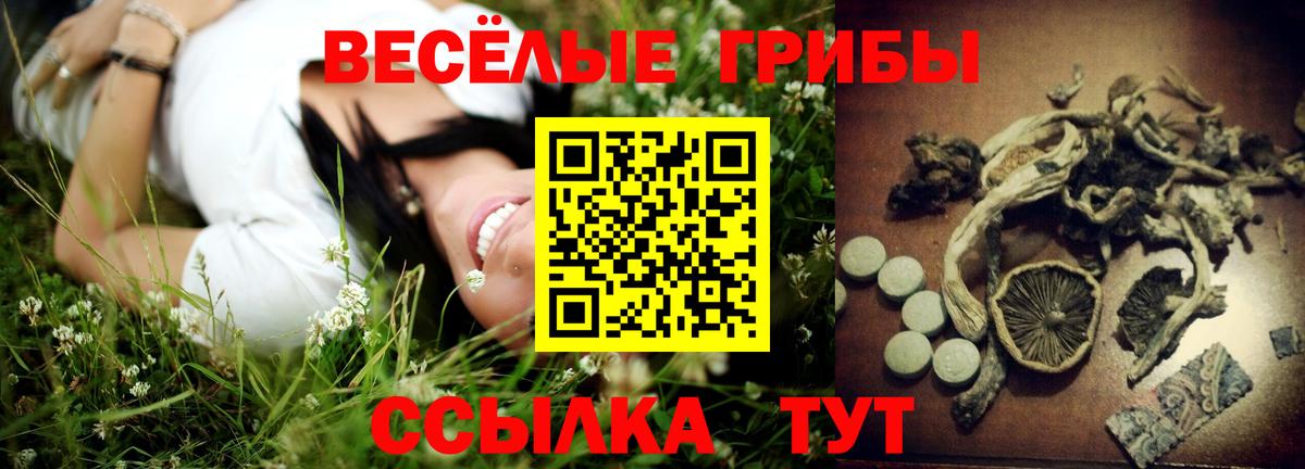 Галлюциногенные грибы мицелий Комсомольск-на-Амуре